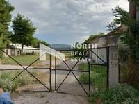 תמונת שטח חקלאי, פאבלוס מאלס למכירה (1)