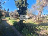 תמונת קורפו למכירה (4)