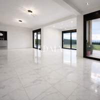 תמונת פאיליה - חורטיאטיס למכירה (4)