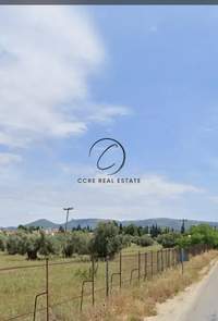 תמונת מגרש, ארטריה למכירה (4)