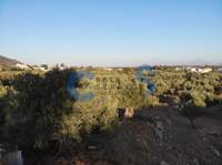 תמונת מגרש, אפוקורנס, כרתים למכירה (2)