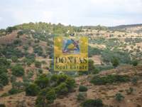 תמונת מגרש, ארמיונידה, פלופונס למכירה (3)