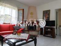 תמונת אריסטוליס, כלקידיקי למכירה