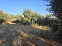 תמונת מגרש, אפוקורנס, כרתים למכירה (4)