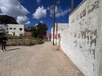 תמונת צ'רסוניסוס, כרתים למכירה (2)