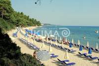 תמונת קסנדרה, כלקידיקי למכירה (4)