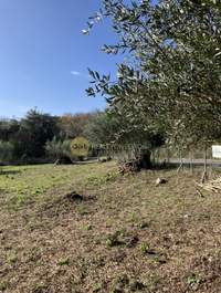 תמונת שטח חקלאי, קורפו למכירה (3)