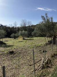 Image 17 of 21