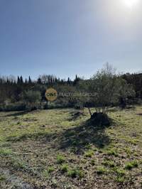 תמונת שטח חקלאי, קורפו למכירה (1)
