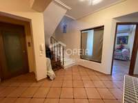 Image 11 of 25