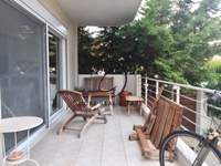 תמונת וארי, וארי - וולה -ווליאגמני למכירה (2)