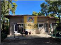 תמונת בית פרטי, קיפיסיה, אתונה למכירה (4)