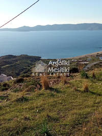 תמונת קאריסטוס, אוויה למכירה (2)