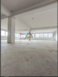 תמונת מטמורפוסי, אתונה למכירה