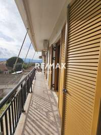 Image 24 of 25