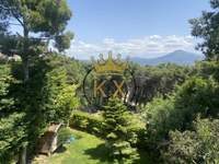 תמונת דופלקס, אכרניס למכירה (4)