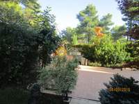 Image 39 of 44