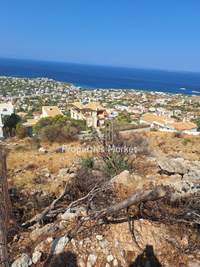 תמונת סרוניקוס, אתונה למכירה (2)