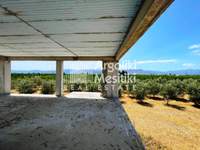 Image 20 of 25