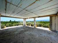 Image 10 of 25