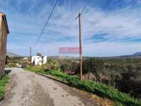 תמונת אפוקורנס למכירה (2)