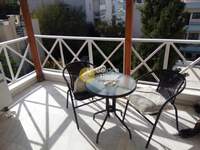 תמונת דופלקס, פאפאגו למכירה (2)