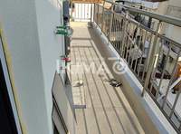Image 12 of 13