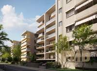 תמונת פאליו פאלירו למכירה (3)