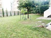 Image 10 of 25