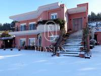 תמונת בית, תרמי למכירה (2)