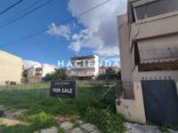 תמונת גראקס, פאליני למכירה (2)