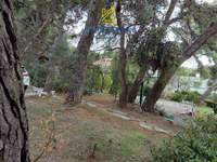 תמונת מגרש, פאנטלי, אתונה למכירה (1)