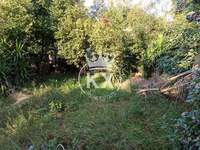 תמונת מגרש, קיפיסיה למכירה (4)