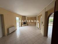 תמונת דופלקס, סרוניקוס למכירה (2)