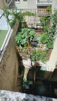 תמונת בניין, אקסרחיה, רשות מקומית אתונה למכירה (2)