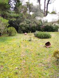 תמונת דירה, קיפיסיה, אתונה למכירה (4)