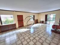 תמונת ראפינה - פיקרמי למכירה (4)