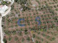 תמונת מגרש, אפוקורנס למכירה (2)