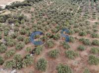 תמונת מגרש, אפוקורנס למכירה (4)