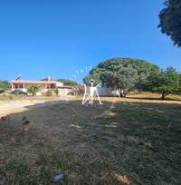 תמונת מגרש, רודוס למכירה (3)