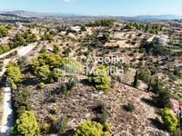 Image 14 of 25