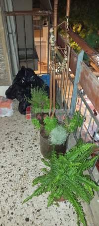 תמונת דירה, ויקטוריה, אתונה למכירה (1)