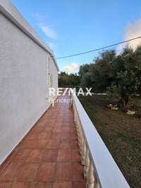 Image 20 of 25