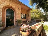 תמונת קיפיסיה, אתונה למכירה (3)