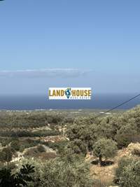 תמונת בית פרטי, אגיה טריאדה - קיריונה - אמנטוס, רתמינון, כרתים למכירה (4)