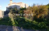 תמונת אורופוס, אתונה למכירה