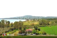 תמונת מסיני למכירה (2)