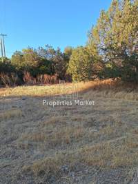 Image 9 of 12