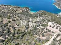 Image 12 of 25
