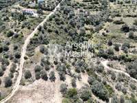 Image 10 of 25